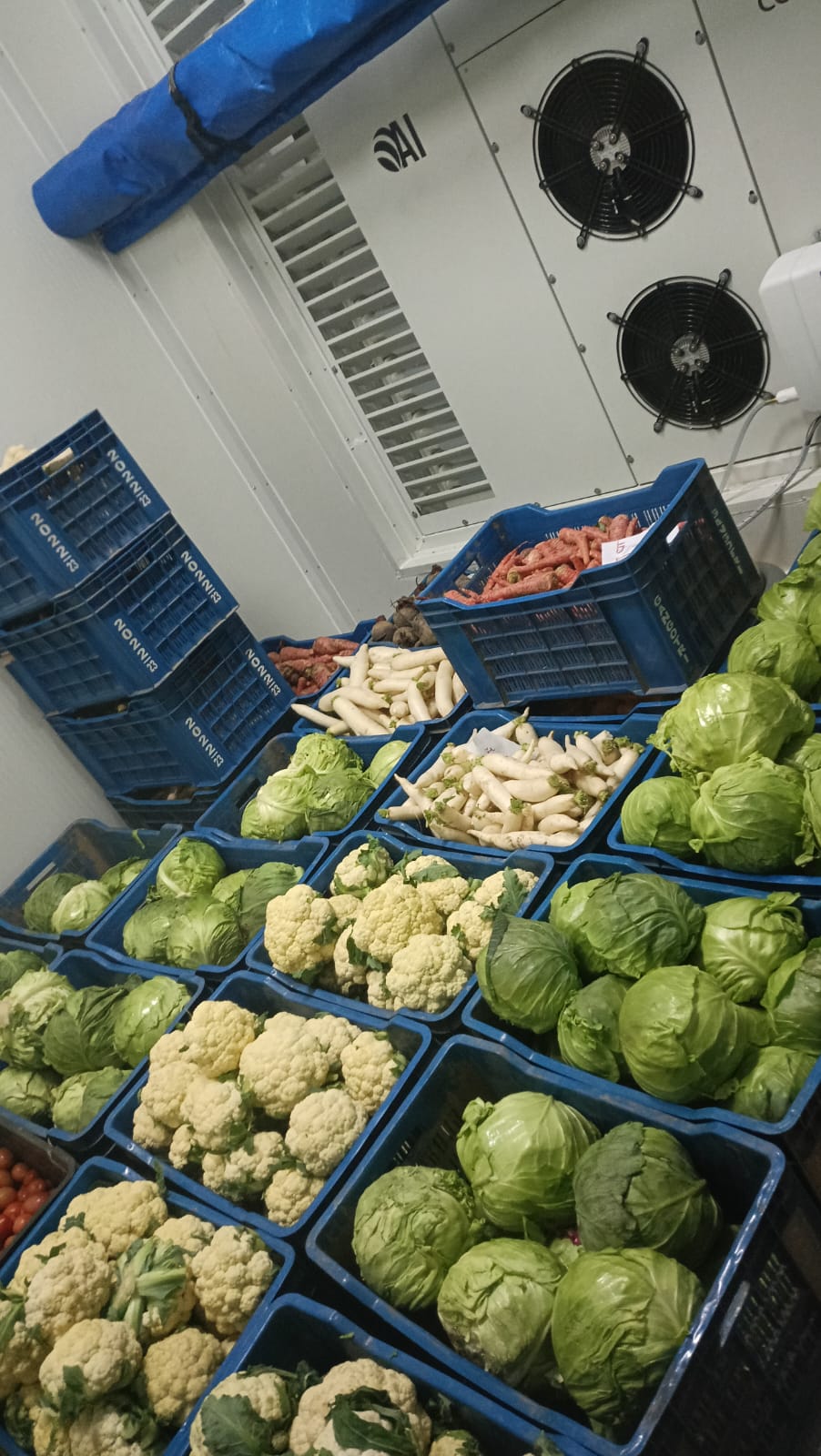 किसानों का संगठन